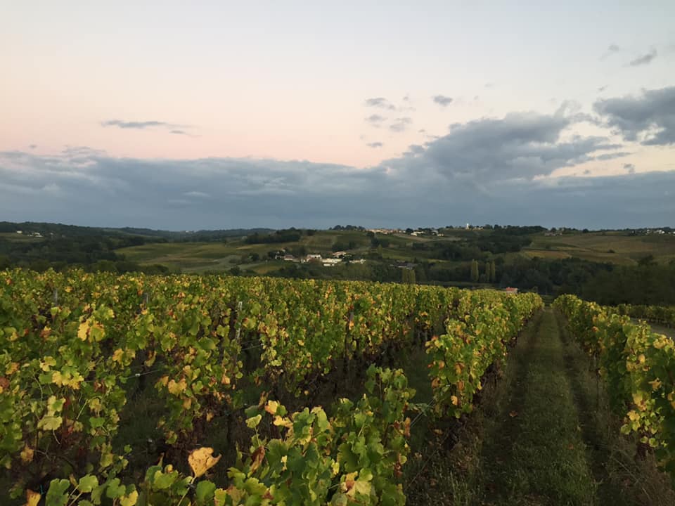 crypto-wine-domaine-de-la-rameille crypto-wine-domaine-de-la-rameille